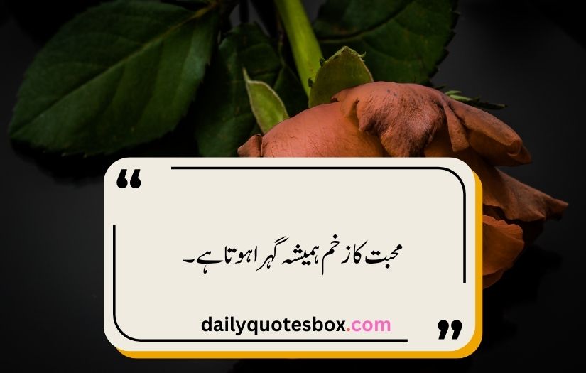 sad quotes in urdu one line