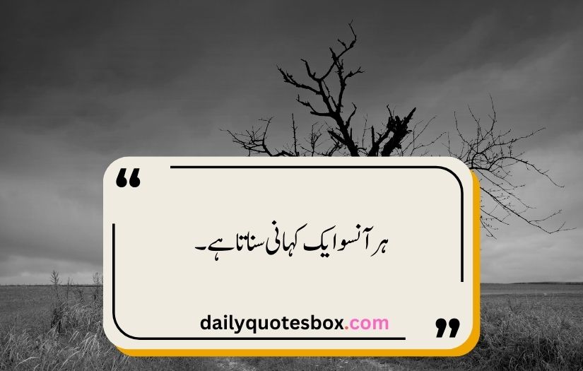 sad quotes in urdu one line