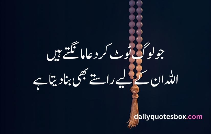 My Uploaded Image