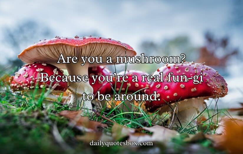 Mushroom Pick-Up Lines