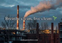 Pollution Caption for Instagram Pollution Caption for Instagram