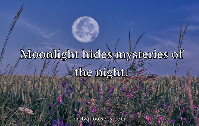 Moon Captions For Instagram Posts