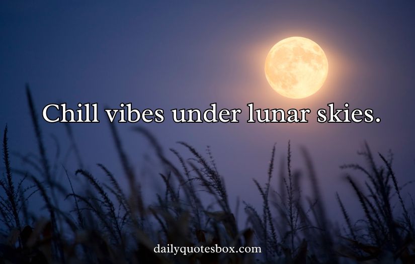 Moon Captions For Instagram Posts