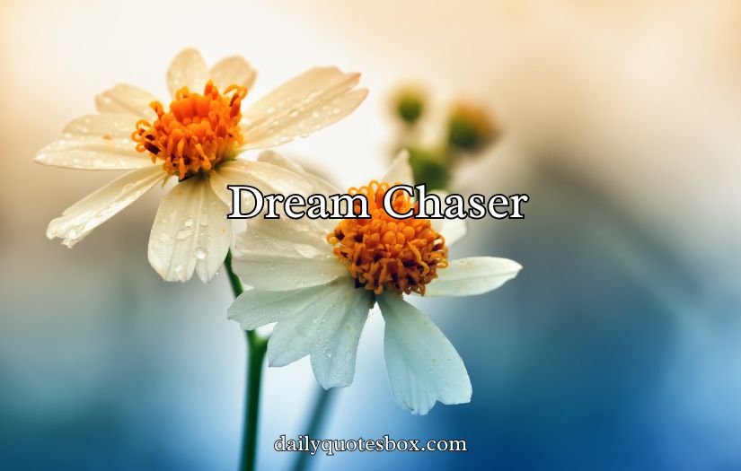 Two Word Captions For Instagram