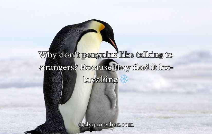 Penguin Jokes Puns