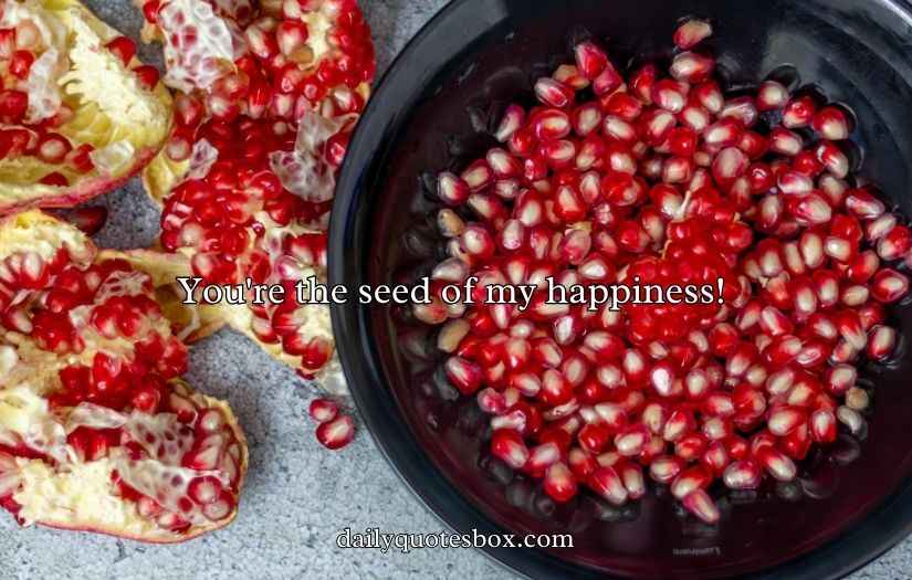 Juicy Pomegranate Puns