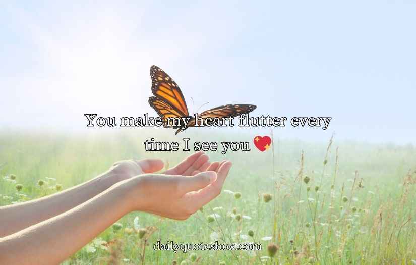 Butterfly Puns for Valentine’s Day