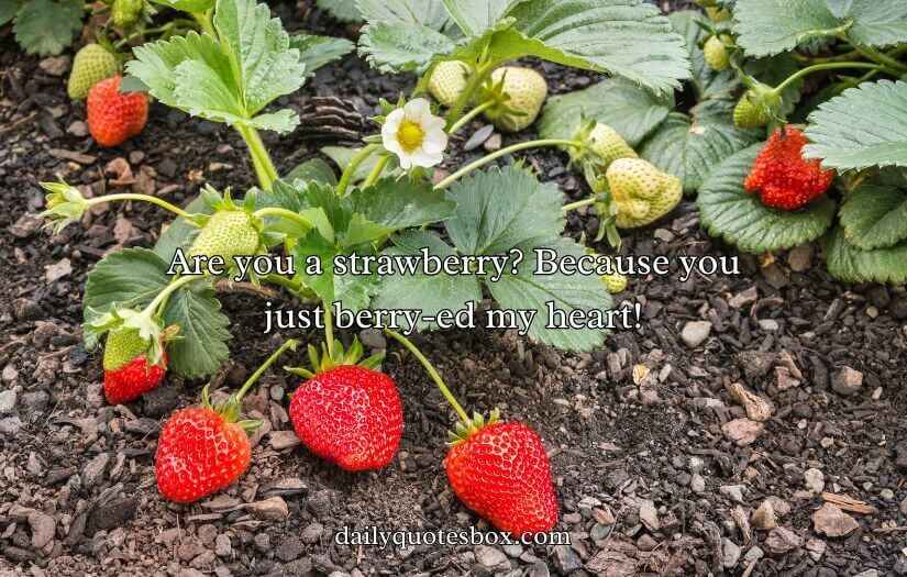Strawberry Pick Up Lines