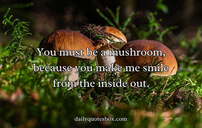 Mushroom Pick-Up Lines