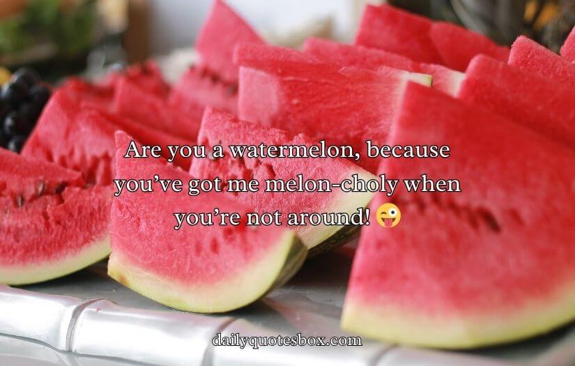 Watermelon Pick Up Lines