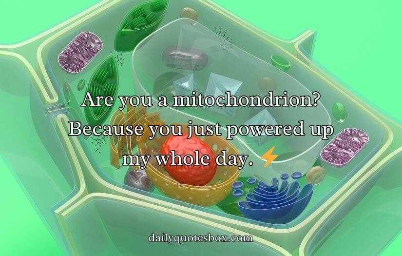 Mitochondria Pick Up Lines