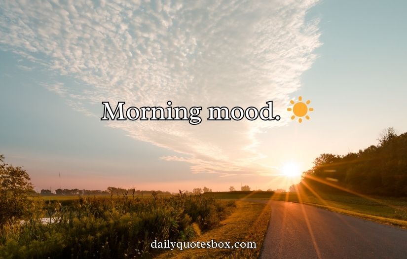 Morning Instagram Captions