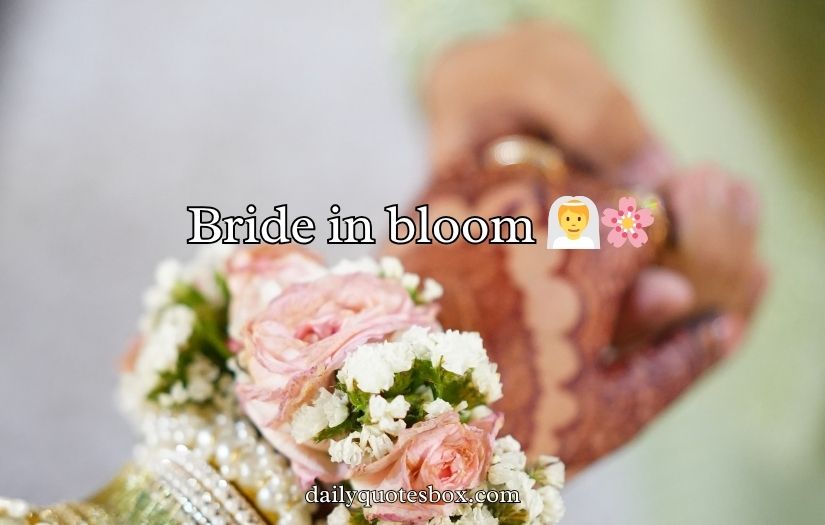 Gajra Captions Instagram