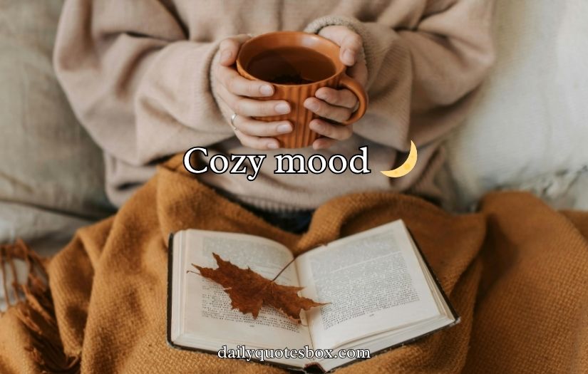 Sweater Captions for Instagram