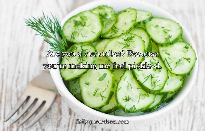 Cucumber Pick Up Lines