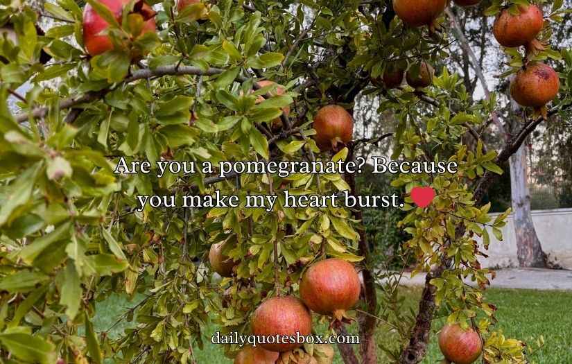 Juicy Pomegranate Puns