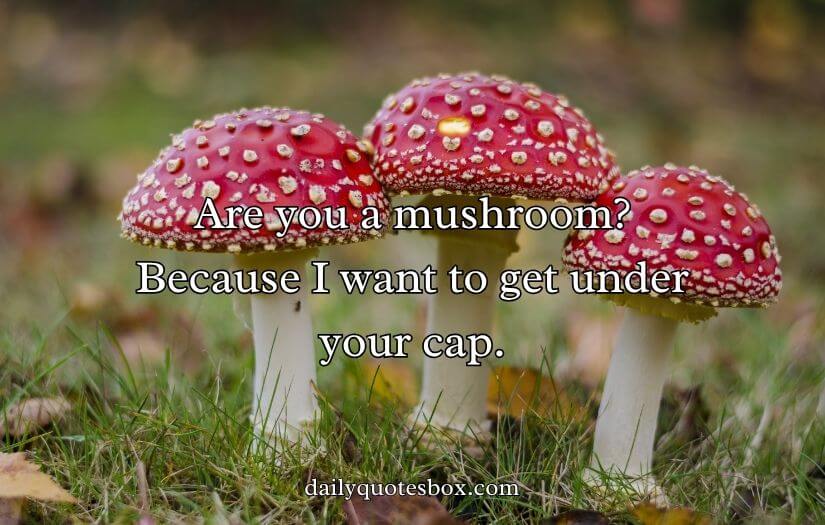 Mushroom Pick-Up Lines