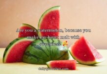 Watermelon Pick Up Lines Watermelon Pick Up Lines