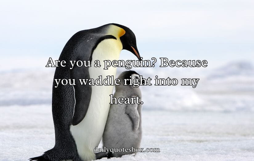 Best Bird Pick Up Lines