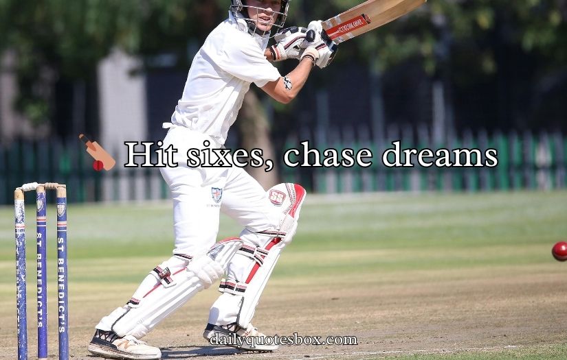 Cricket Bio for Instagram