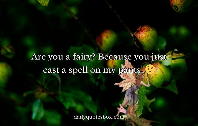 Best Fairy Pick Up Lines