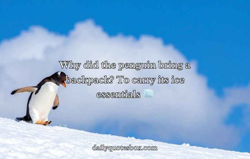 Penguin Jokes Puns