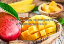 Mango Rizz Lines Mango Rizz Lines