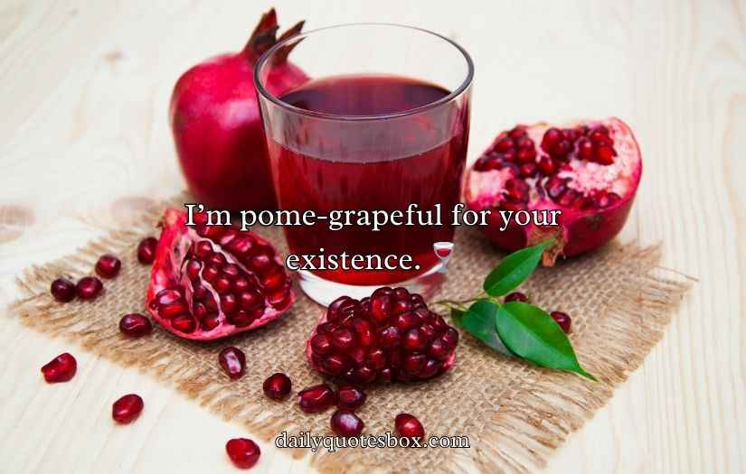 Juicy Pomegranate Puns