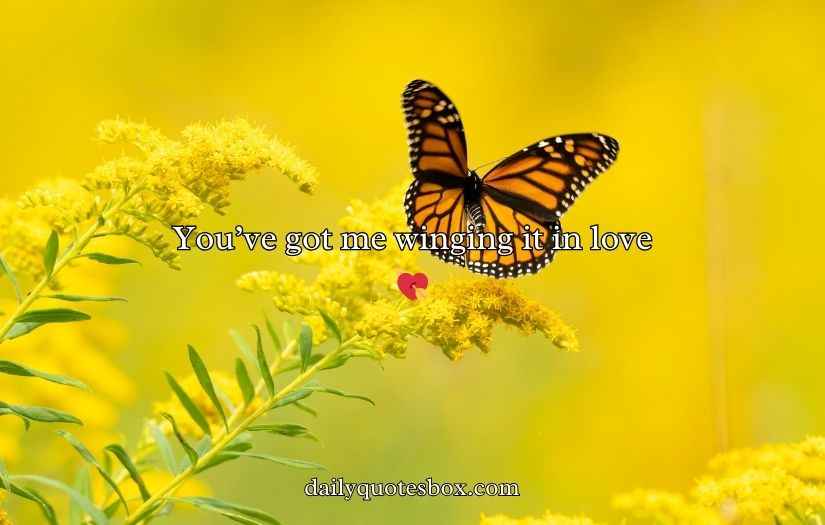 Butterfly Puns for Valentine’s Day