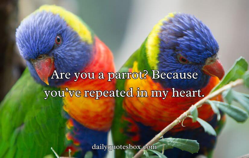 Best Bird Pick Up Lines