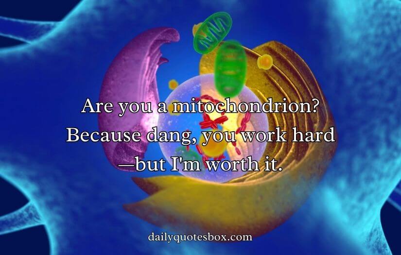 Mitochondria Pick Up Lines