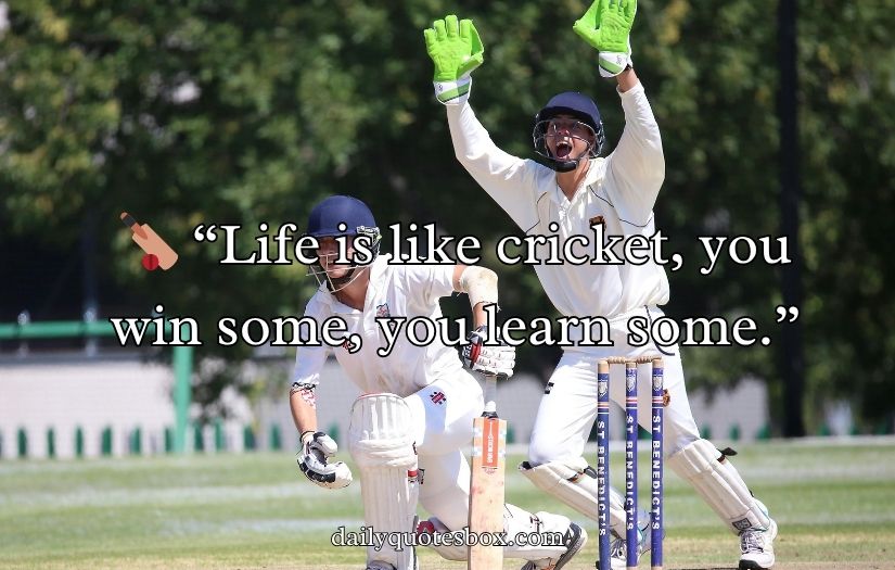 Cricket Bio for Instagram