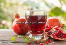 Juicy Pomegranate Puns Juicy Pomegranate Puns