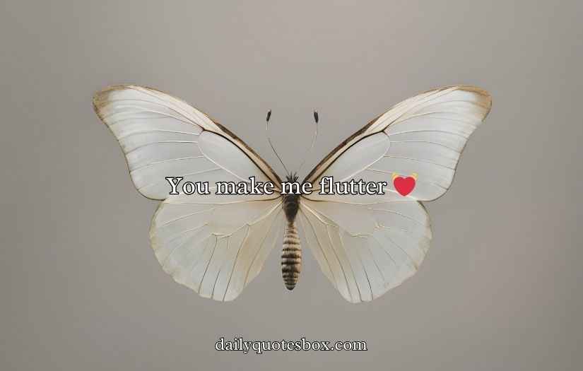 Butterfly Puns for Valentine’s Day