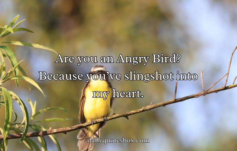 Best Bird Pick Up Lines