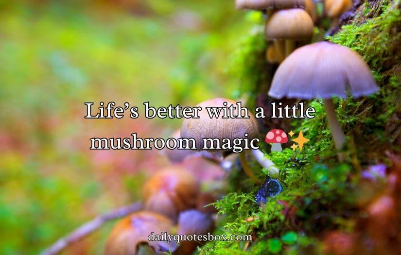 Mushroom Pick-Up Lines