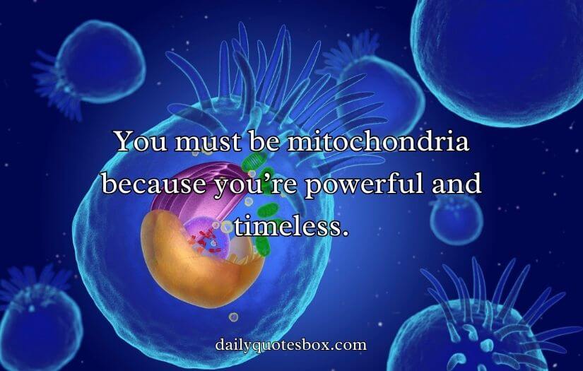 Mitochondria Pick Up Lines