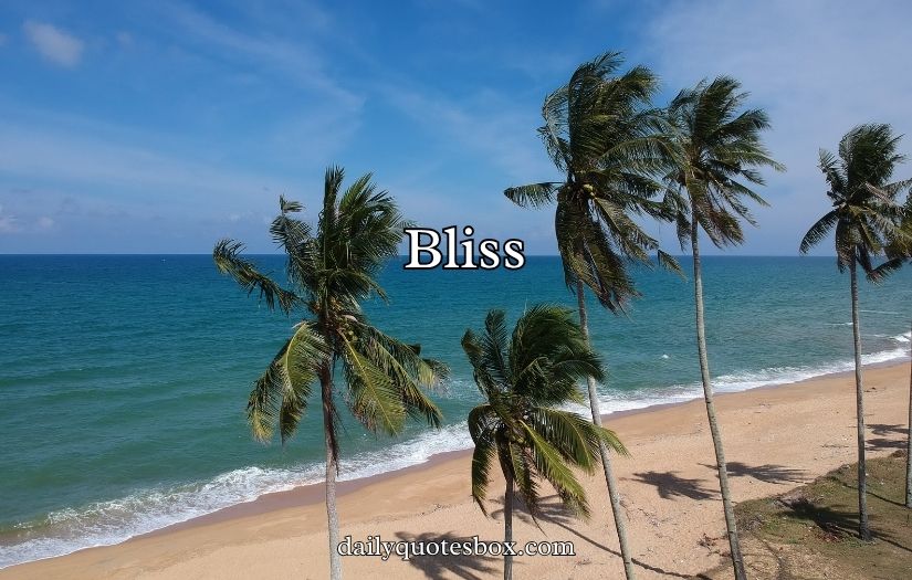 Beach Instagram Captions