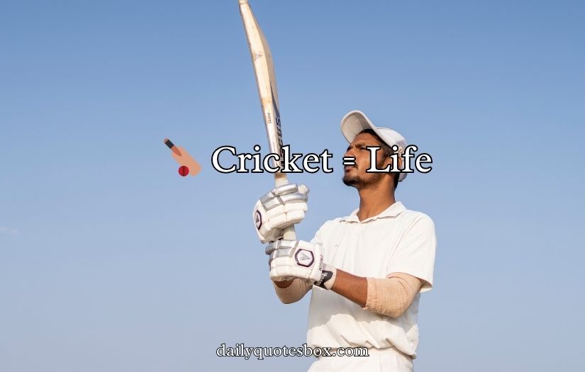 Cricket Bio for Instagram