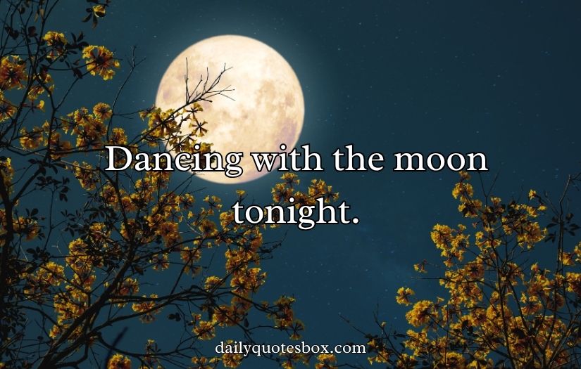 Moon Captions For Instagram Posts