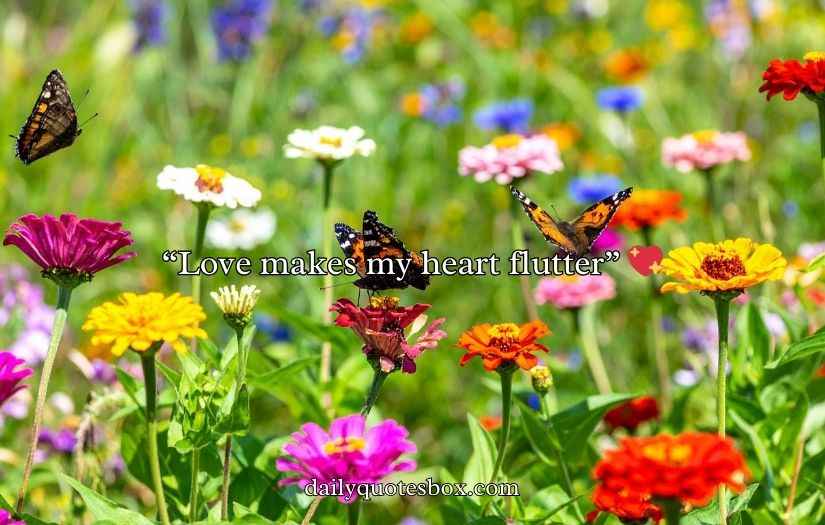 Butterfly Puns for Valentine’s Day