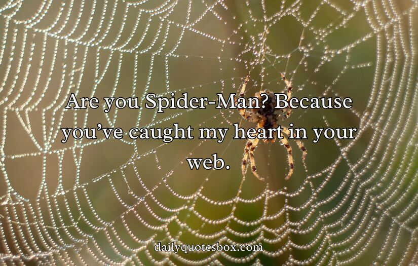 Best Bird Pick Up Lines