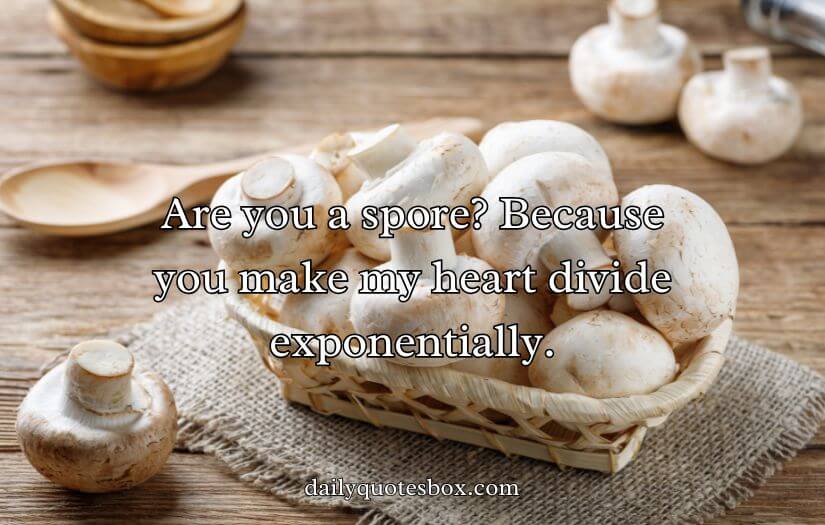 Mushroom Pick-Up Lines