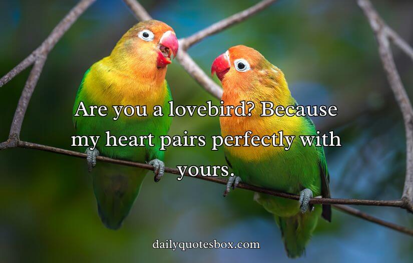Best Bird Pick Up Lines