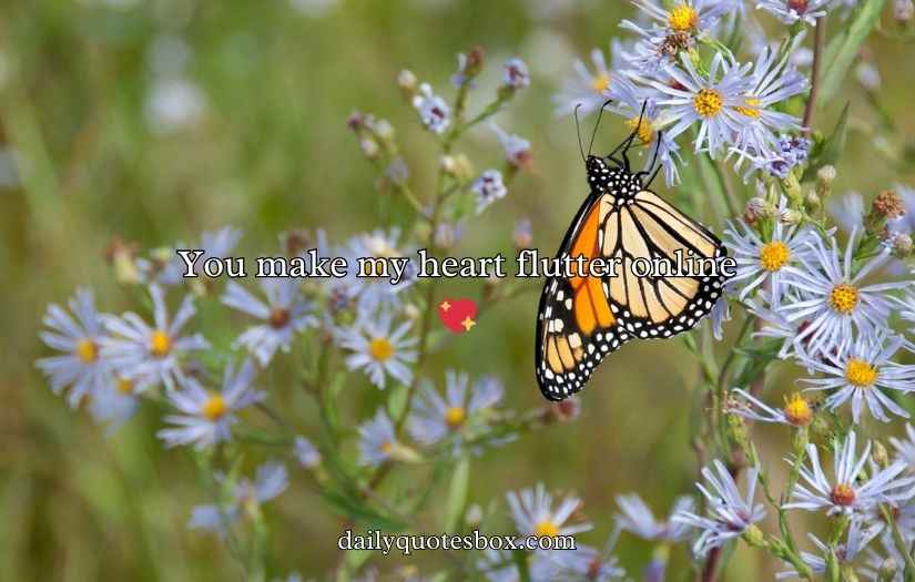 Butterfly Puns for Valentine’s Day