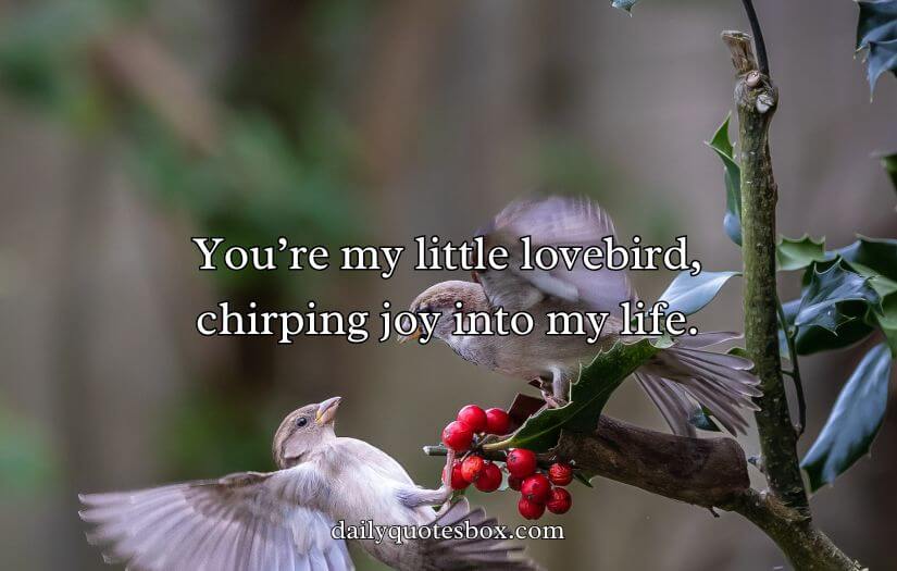 Best Bird Pick Up Lines