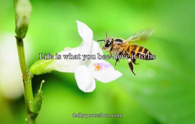 Bee Puns And Jokes