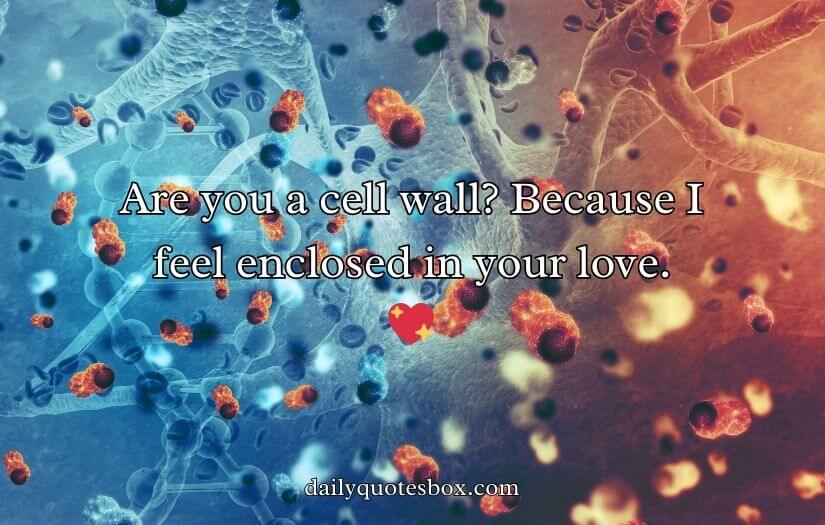 Cell Wall Pick Up Lines