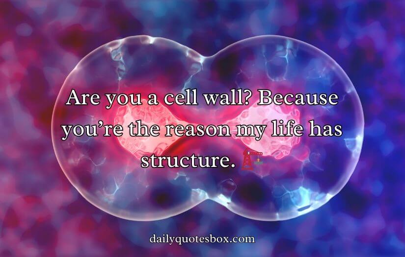 Cell Wall Pick Up Lines