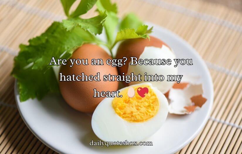 Funny Egg Rizz Lines